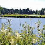Grossdorf En Vogue Im Hahnenklee, Harz *