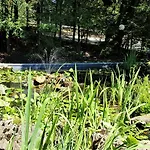 Grossdorf En Vogue Im Hahnenklee, Harz *
