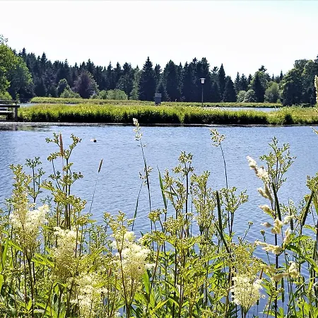 Grossdorf En Vogue Im Hahnenklee, Harz *
