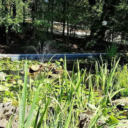 Grossdorf En Vogue Im Hahnenklee, Harz *