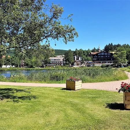 Grossdorf En Vogue Im Hahnenklee, Harz