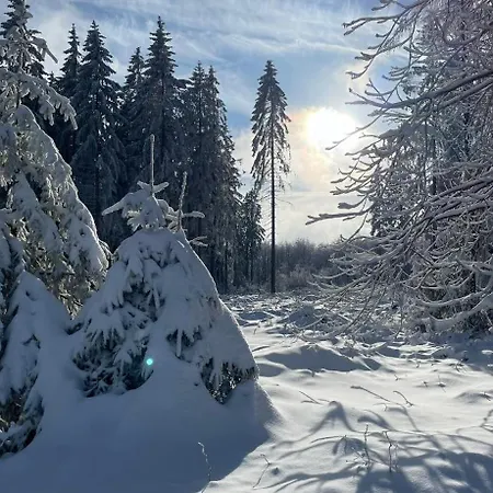 Grossdorf En Vogue Im Hahnenklee, Harz Appartement *