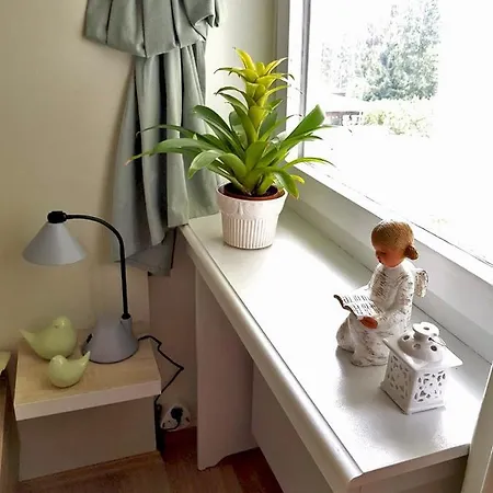 Apartment Grossdorf En Vogue Im Hahnenklee, Harz Goslar