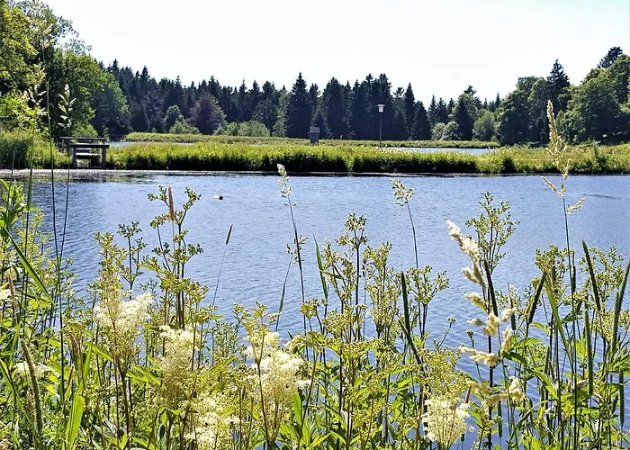 Grossdorf En Vogue Im Hahnenklee, Harz *