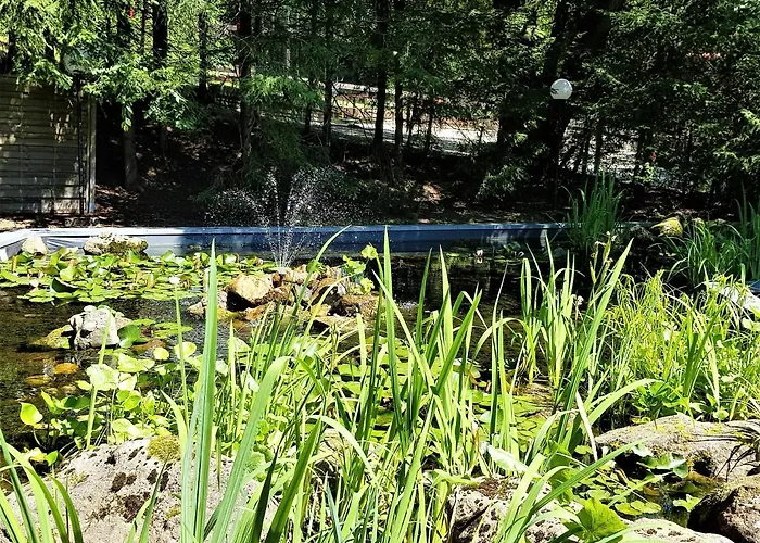 Grossdorf En Vogue Im Hahnenklee, Harz *