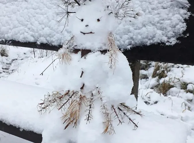 Grossdorf En Vogue Im Hahnenklee, Harz *