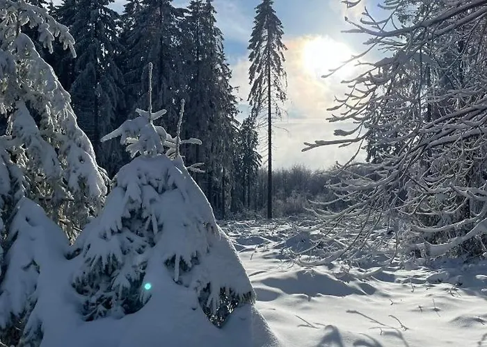 Grossdorf En Vogue Im Hahnenklee, Harz Apartamento *